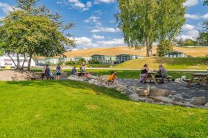 Families relaxing at picnic benches while children play in the shallow stream beneath the fells.