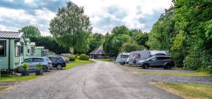 Quiet internal road through the park, lined with static caravans and mature trees.